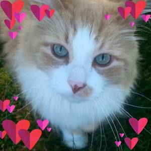 Meet your Posher, Sherry